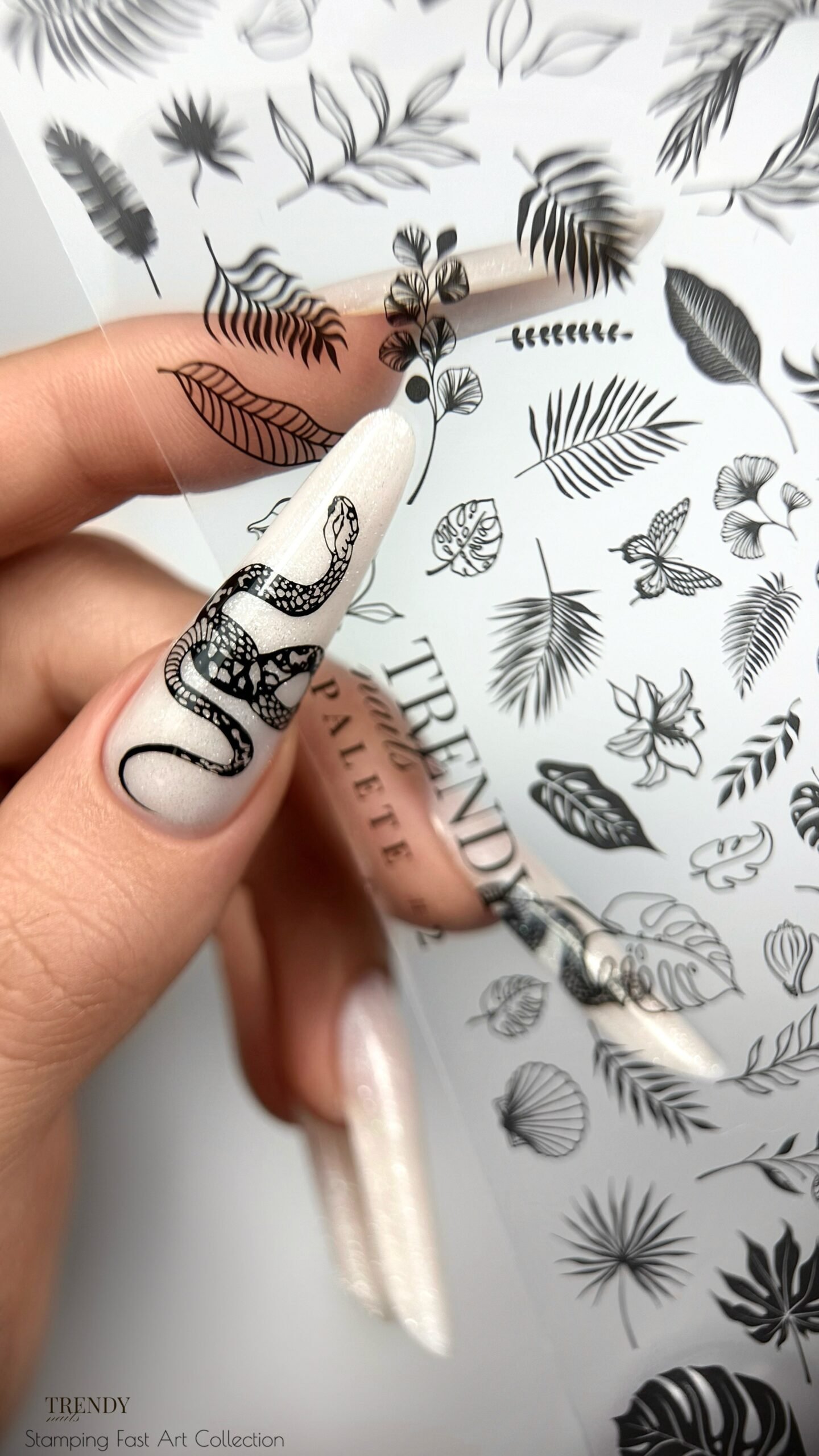 Processed with MOLDIV