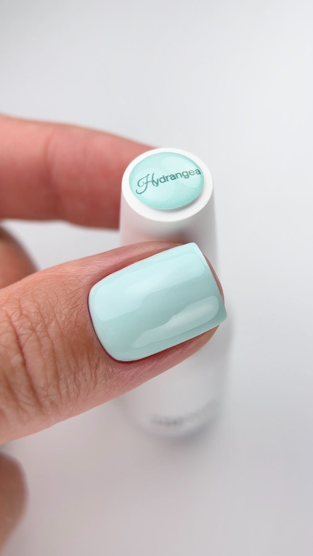 Hydrangea – 10 ml