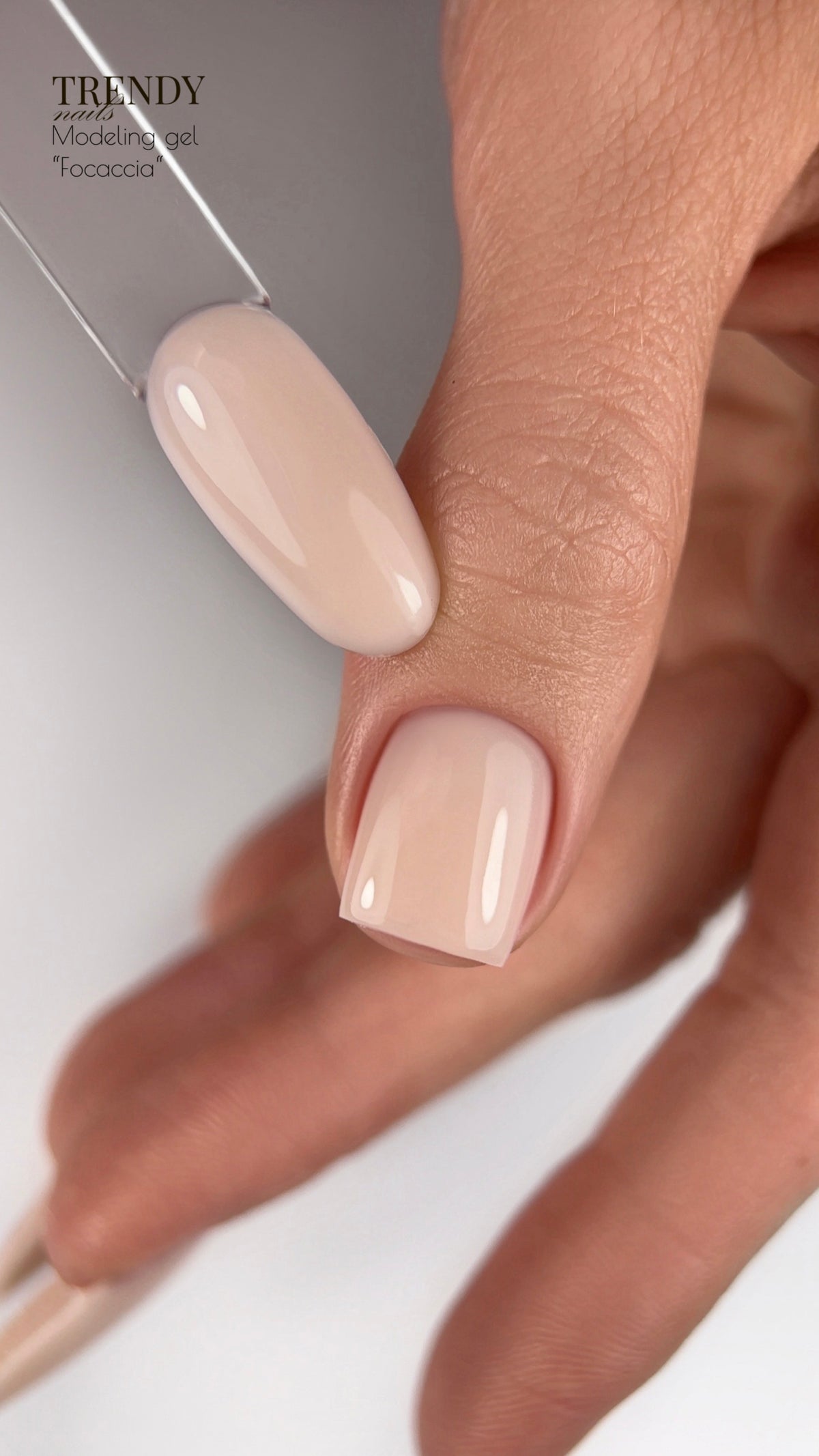 Modeling Gel – Focaccia | The Bakery Collection