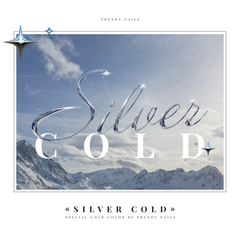 Collection Modeling Gel – Silver Cold