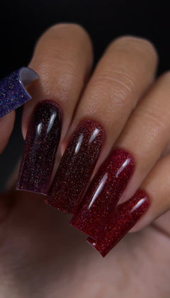 Stellar Lights Collection -8ml