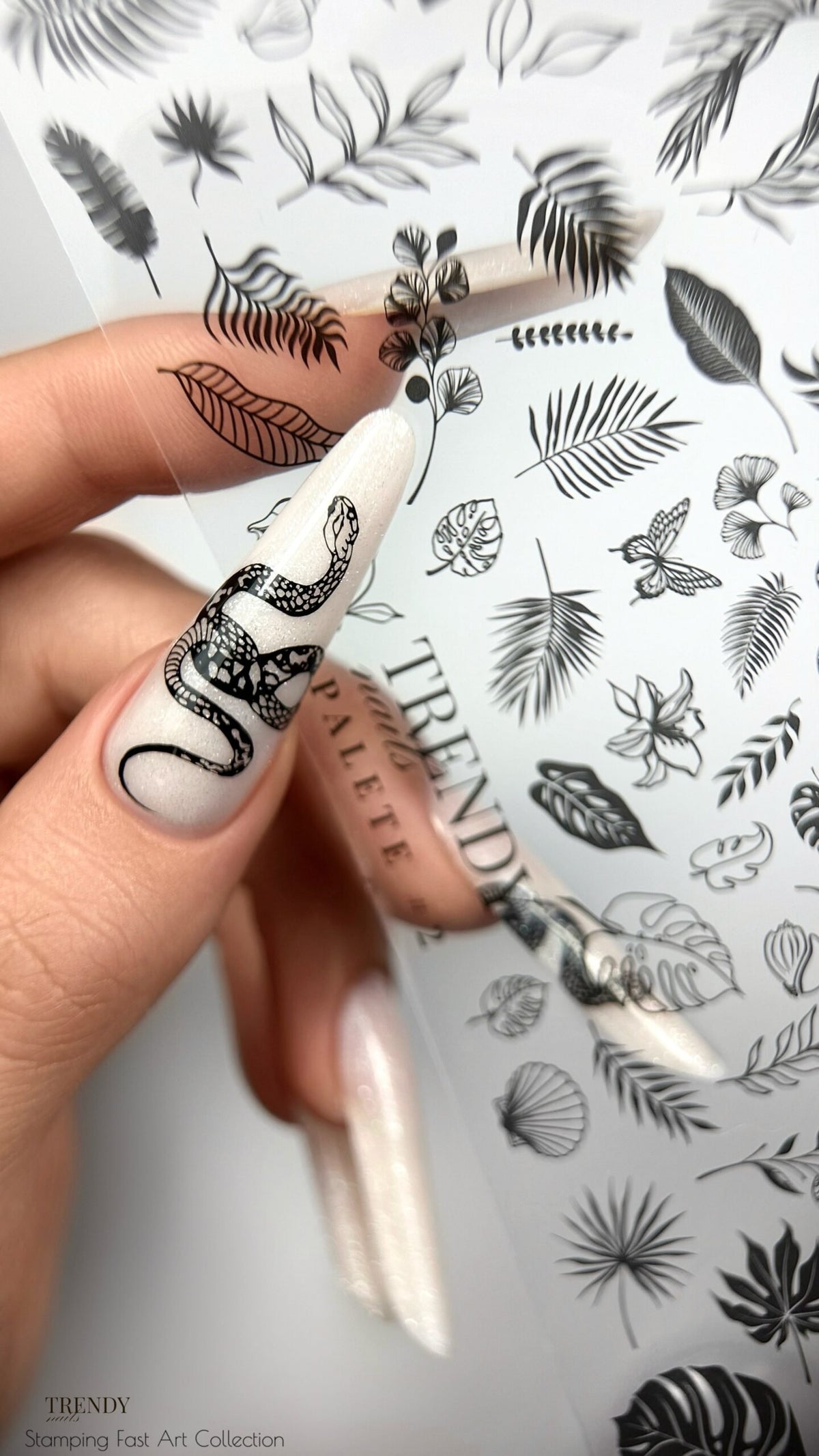 Palette STAMPING N°1