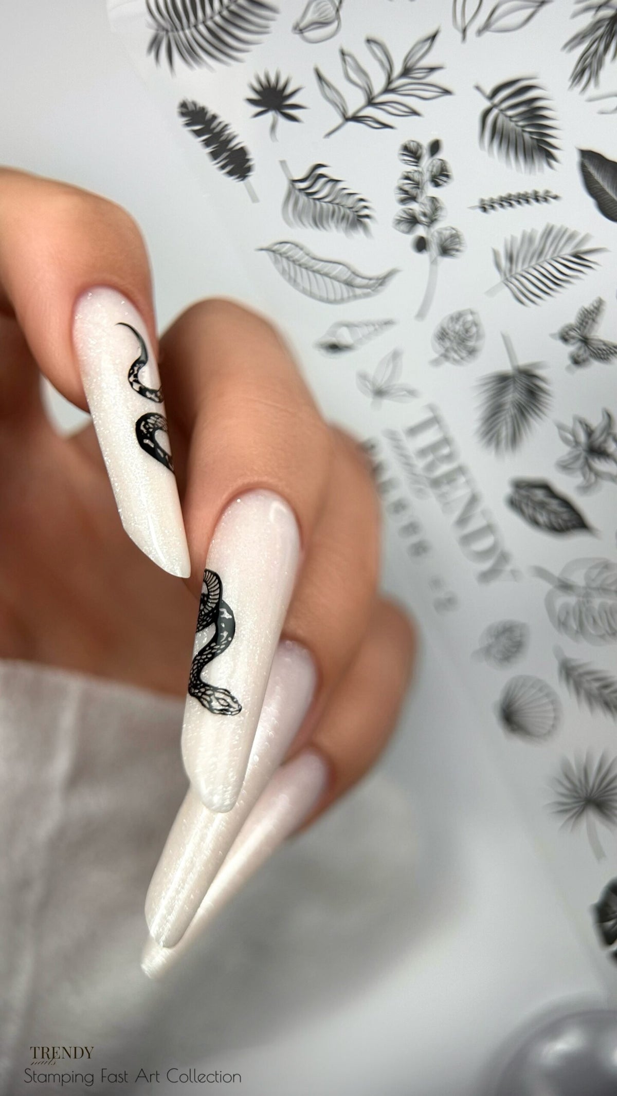 Palette STAMPING N°1