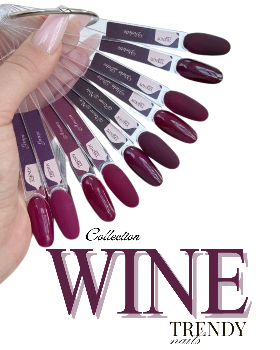 Cin Cin Collection – 5 Gels Polish – 8 ml