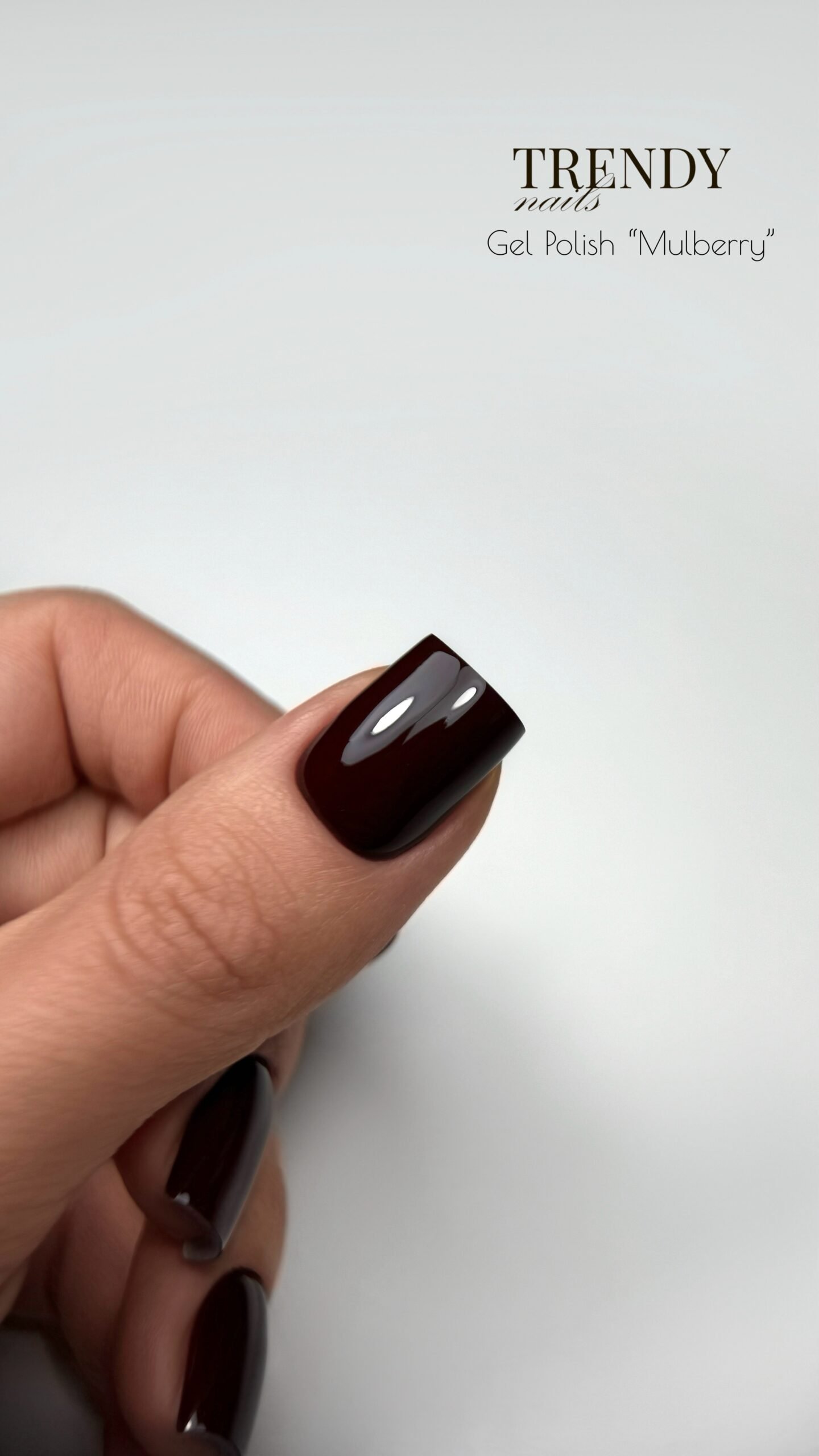 Processed with MOLDIV