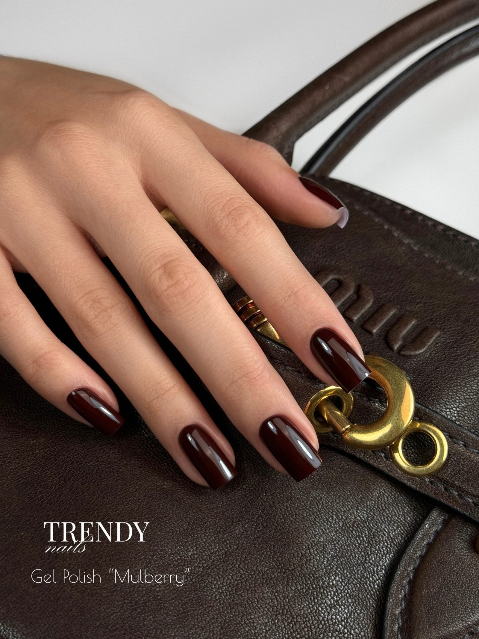 Processed with MOLDIV