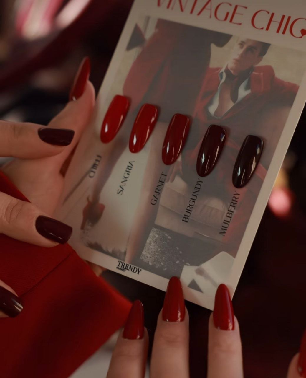 photo_2024-11-11_15-45-05